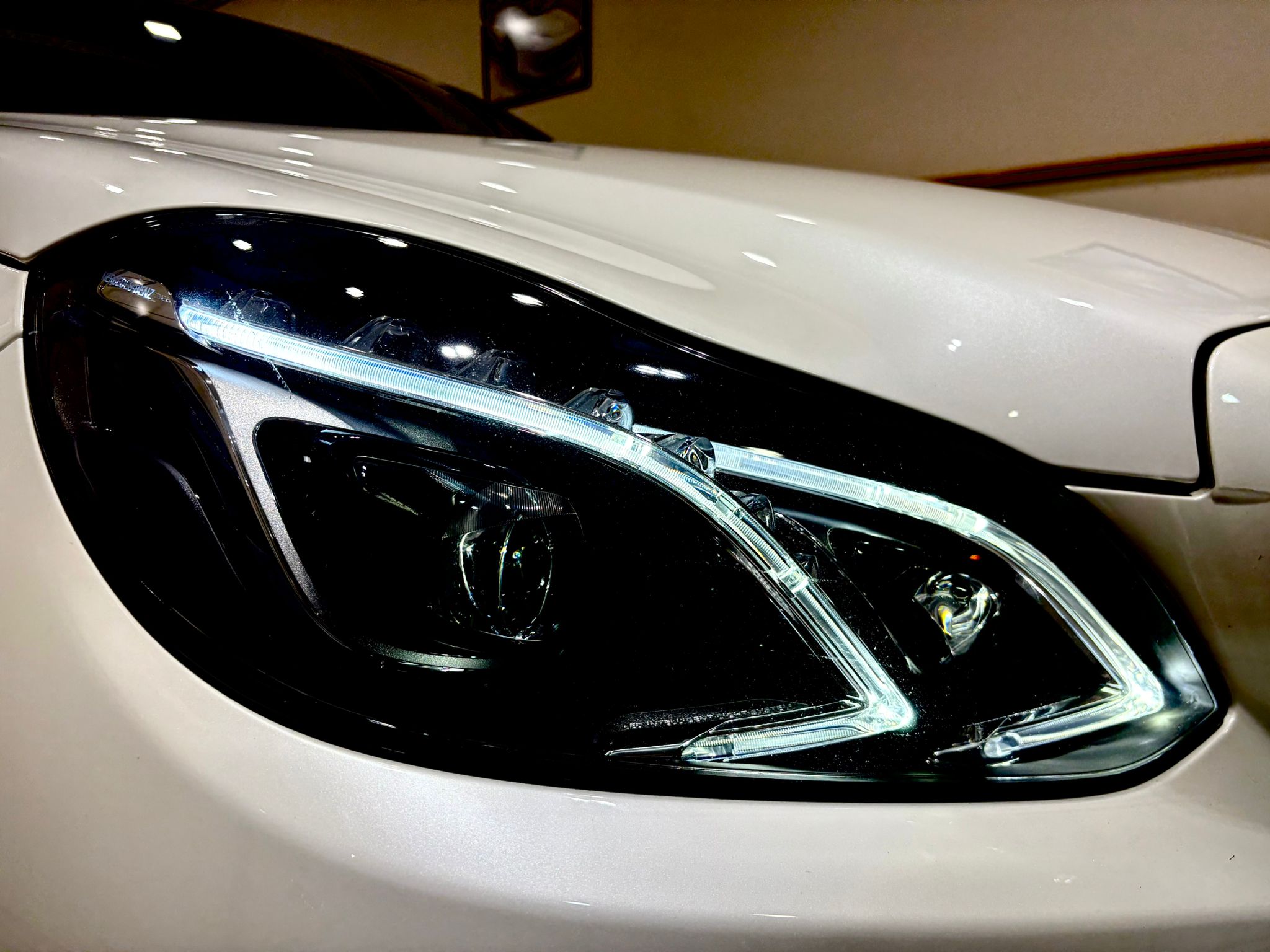 WhatsApp Image 2026-01-18 at 10.46.59 (1)