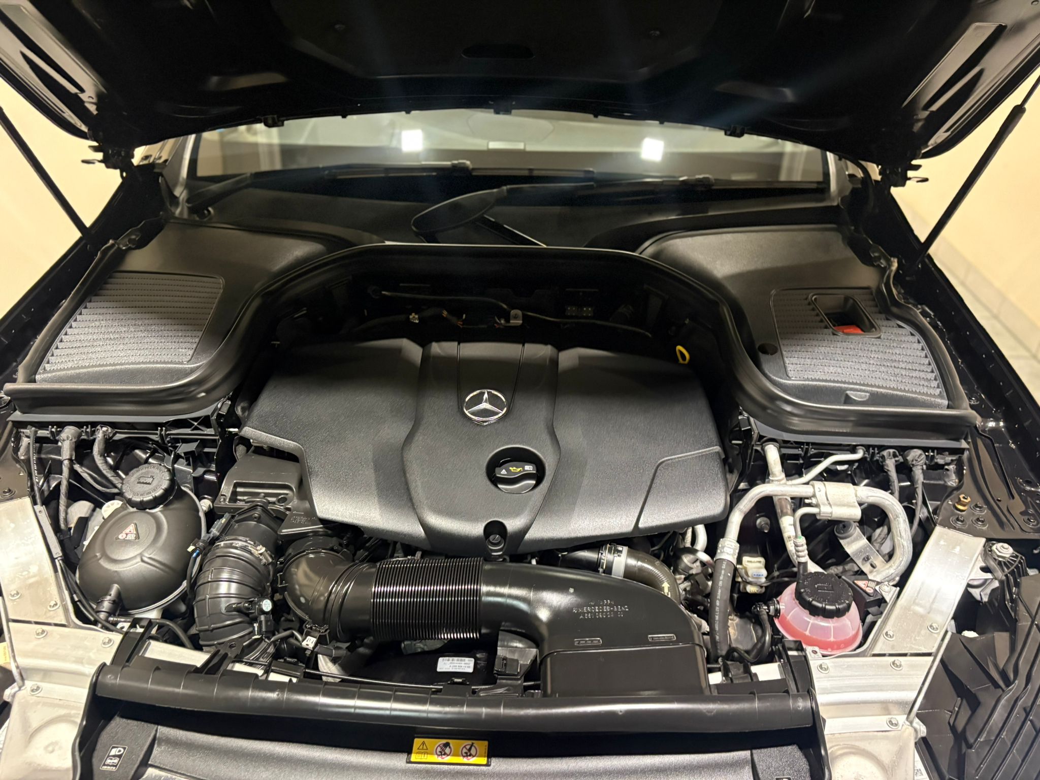 WhatsApp Image 2026-03-12 at 07.57.06