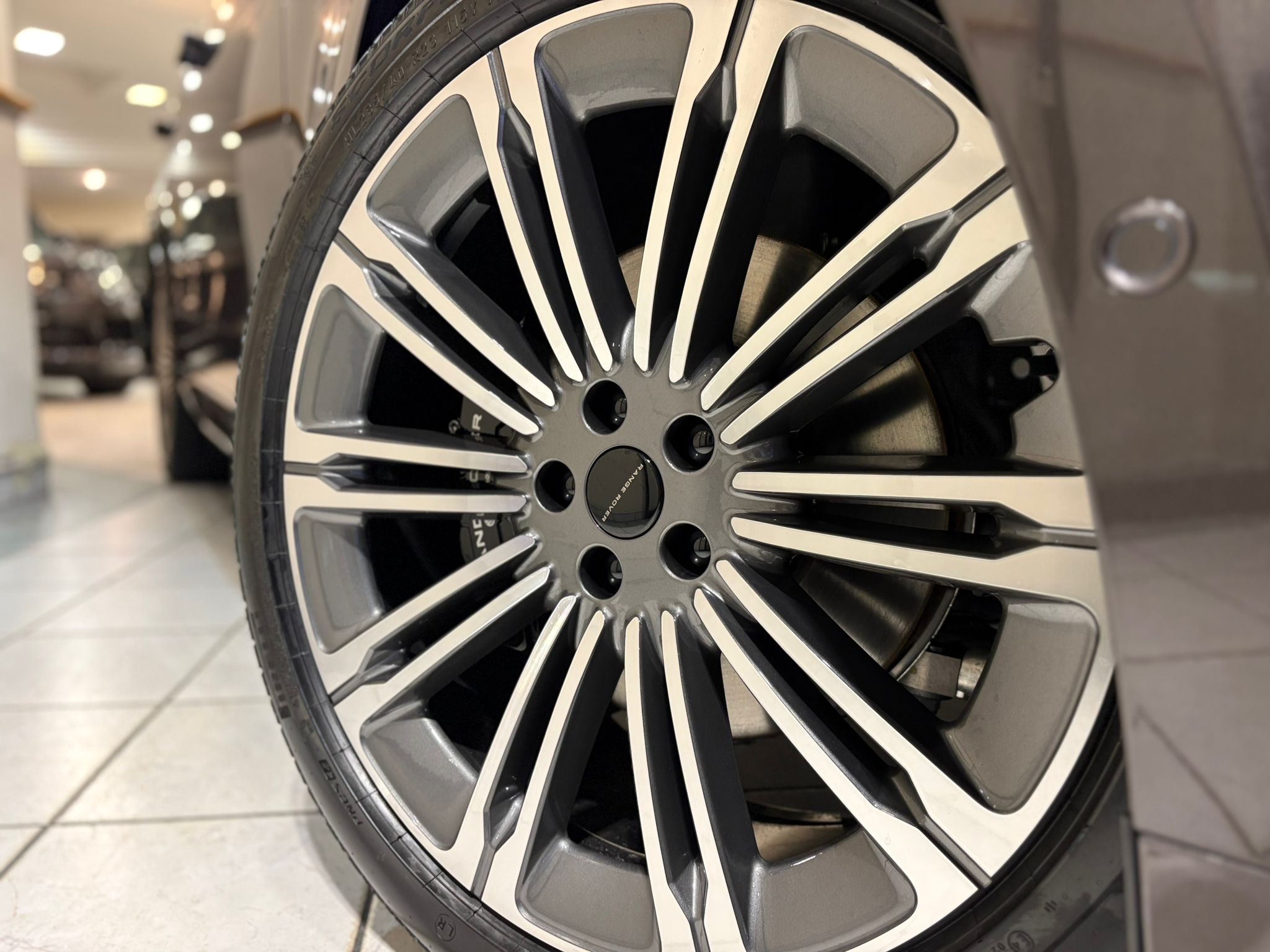 WhatsApp Image 2026-03-25 at 07.41.13